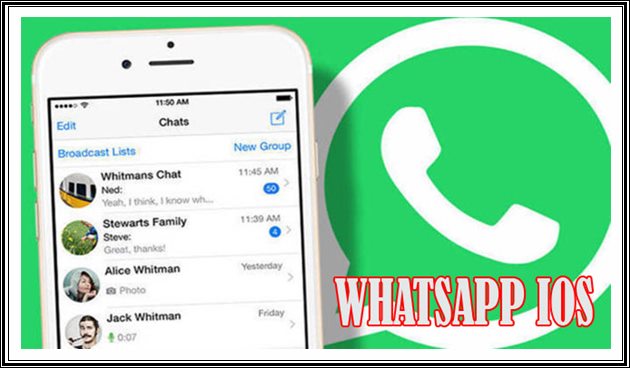 Sekilas Informasi Tentang WhatsApp iOS