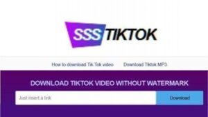 SSSTikTok - Downloader Video TikTok Tanpa Watermark (Gratis)