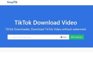 SnapTik App, Download Video TikTok Tanpa Watermark (Mudah)