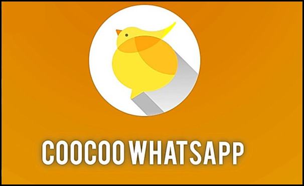 Tentang CooCoo WhatsApp